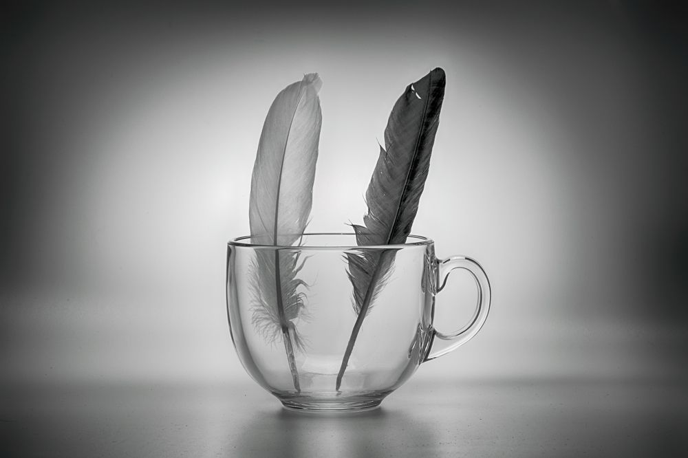 Фотография автора Владимир Борисов