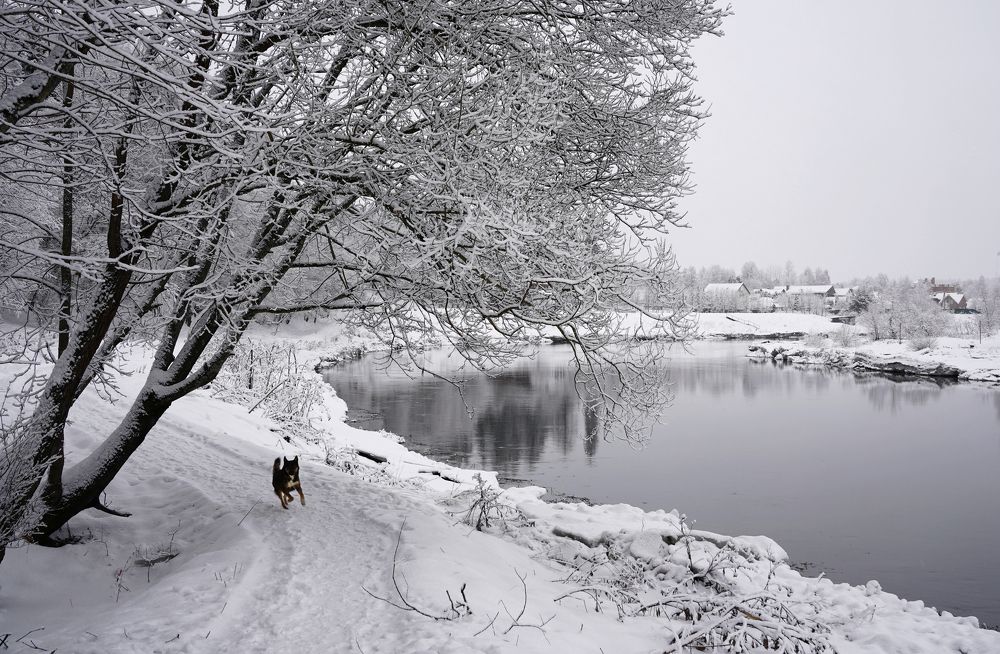 по Москва-реке