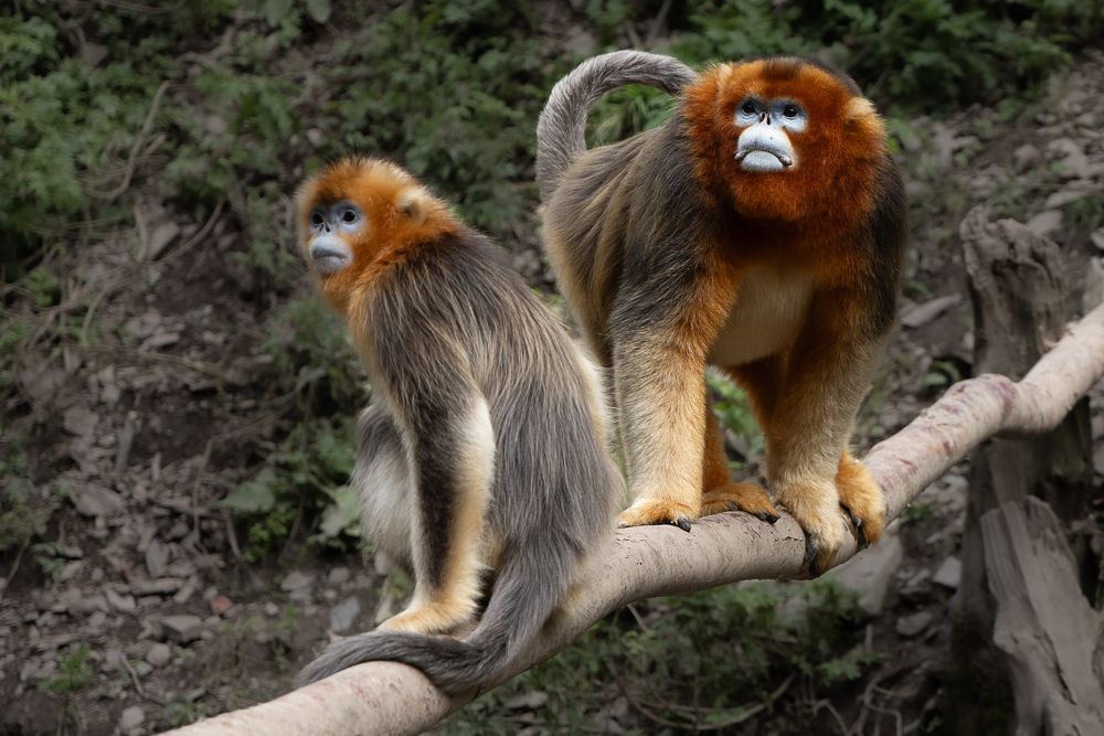 Photograph by Марина Маликова