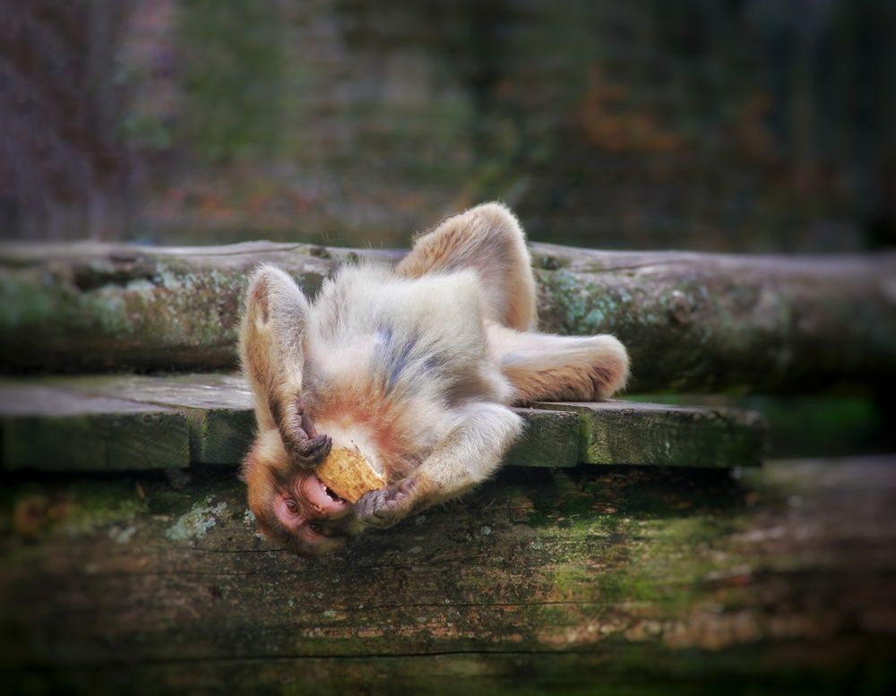 Photograph by Наталия Мельникова