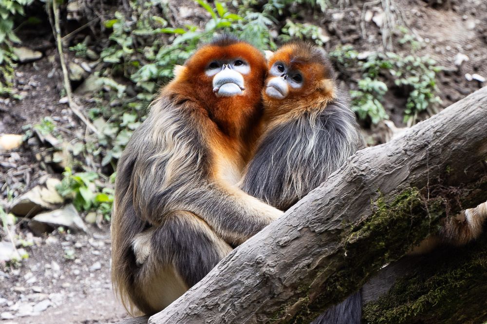 Photograph by Марина Маликова