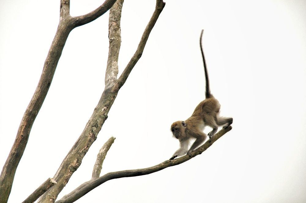 Photograph by Наталия Мельникова