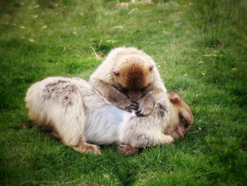 Photograph by Наталия Мельникова