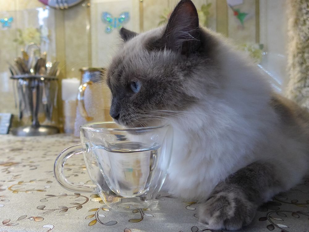 Photograph by Александр Лаптев