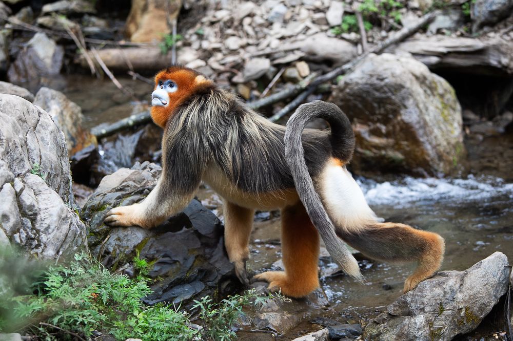 Photograph by Марина Маликова