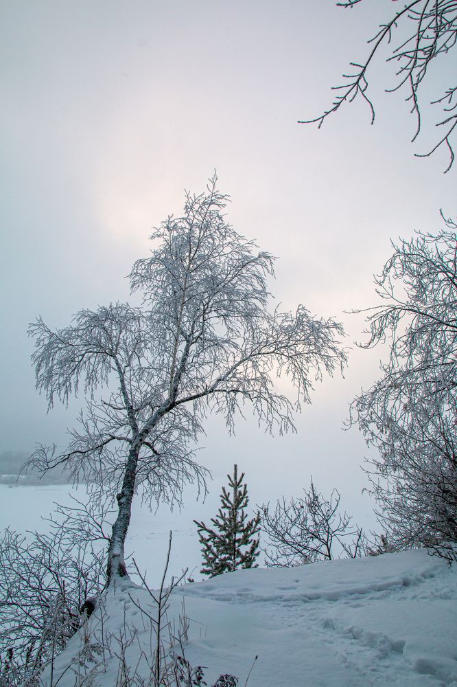 Photograph by Ирина Рыжова