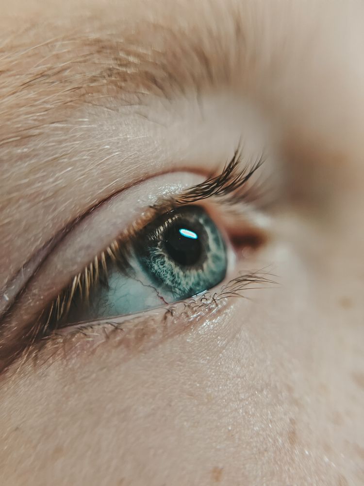 Photograph by Irina Chka