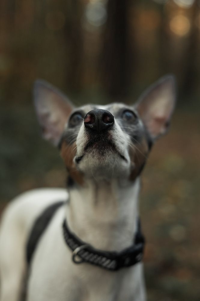 Photograph by Анна