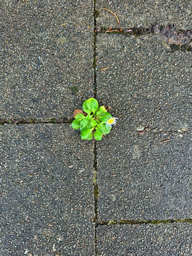 Photograph by Лидия