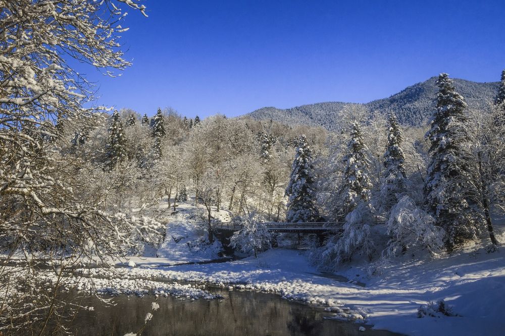 Фотография автора Галина Шепелева