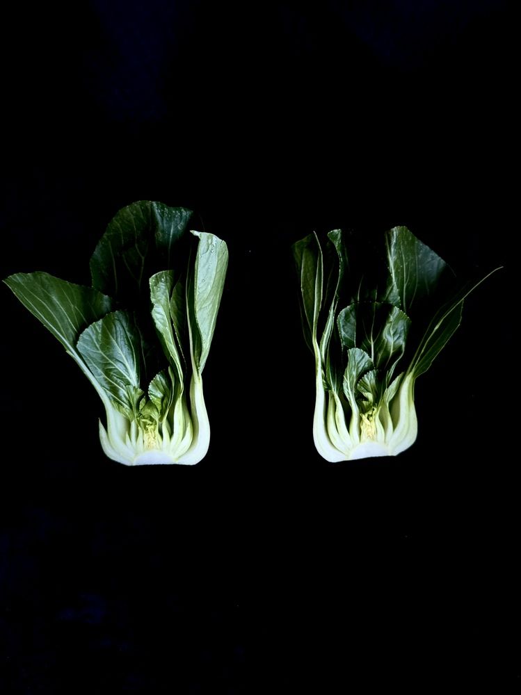 Photograph by Irina Kolotova