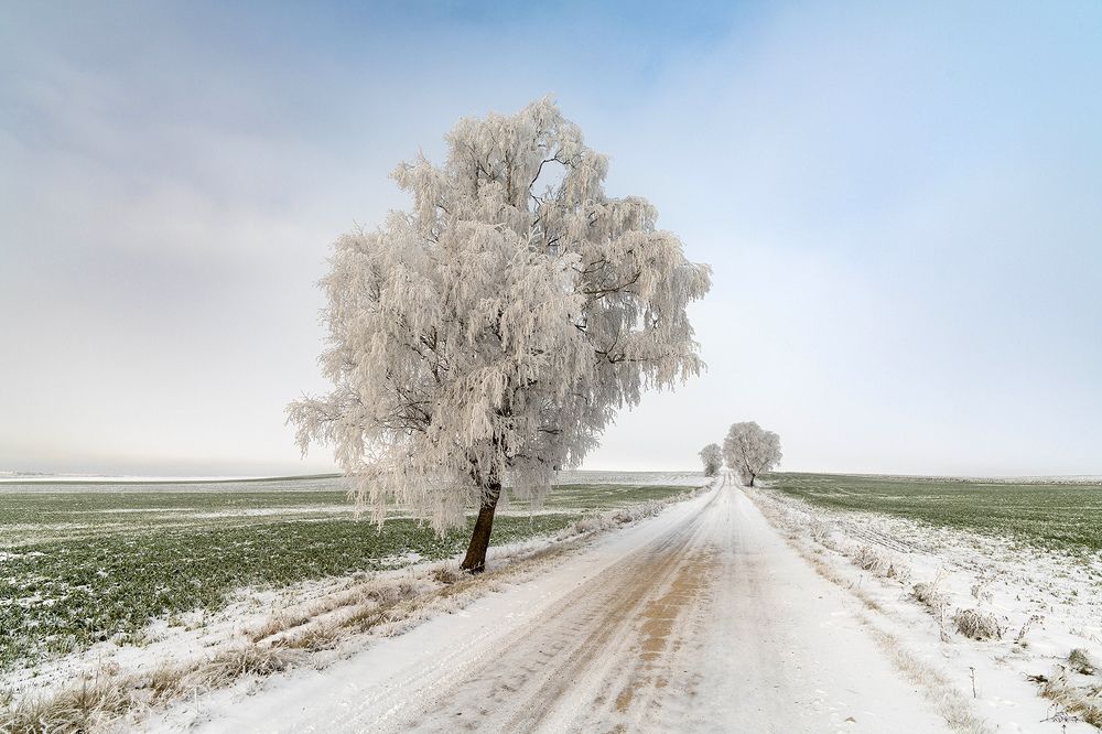 Photograph by Virginijus