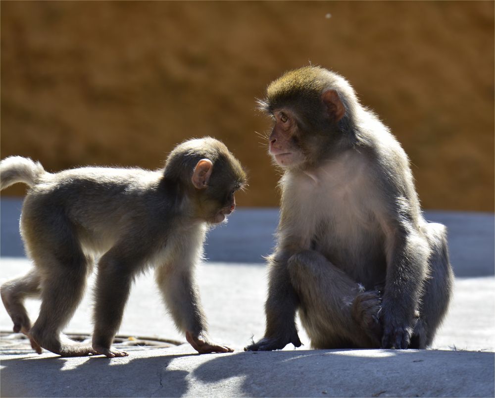 Photograph by Владислав Кравцов