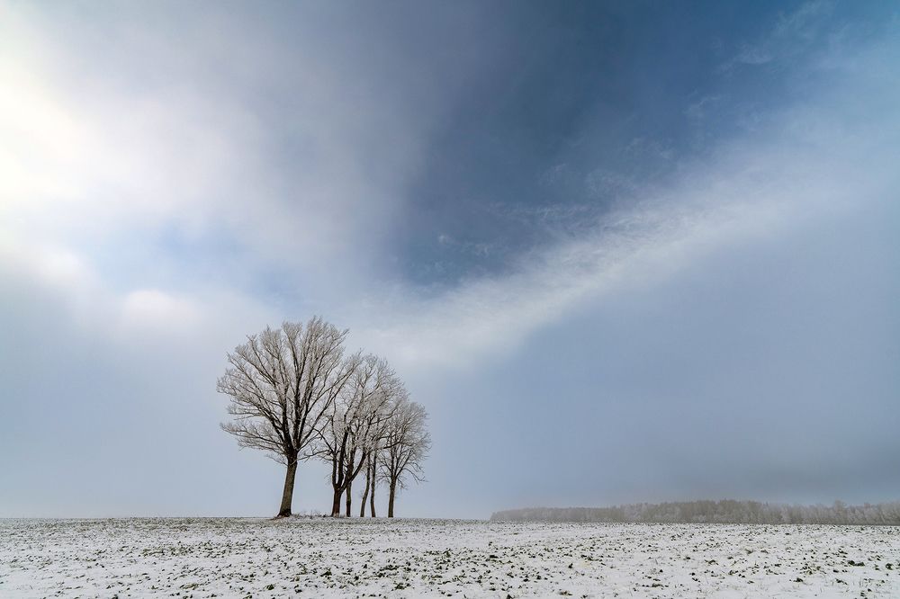 Photograph by Virginijus