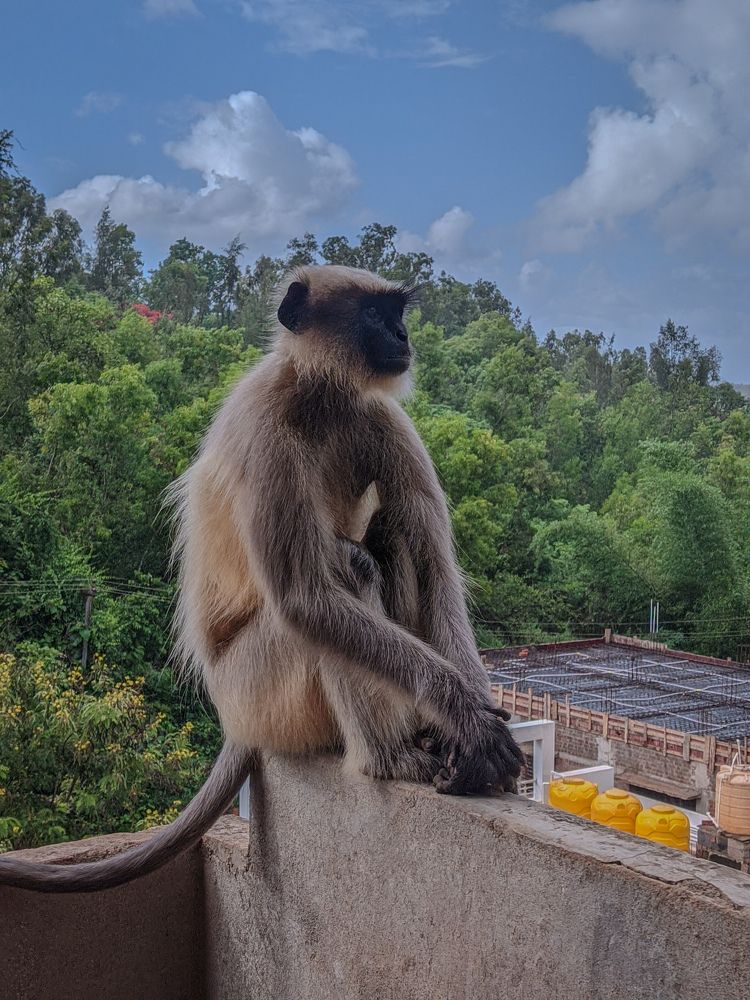 Photograph by Vijayakumar