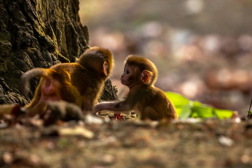 Photograph by Vita Potomova