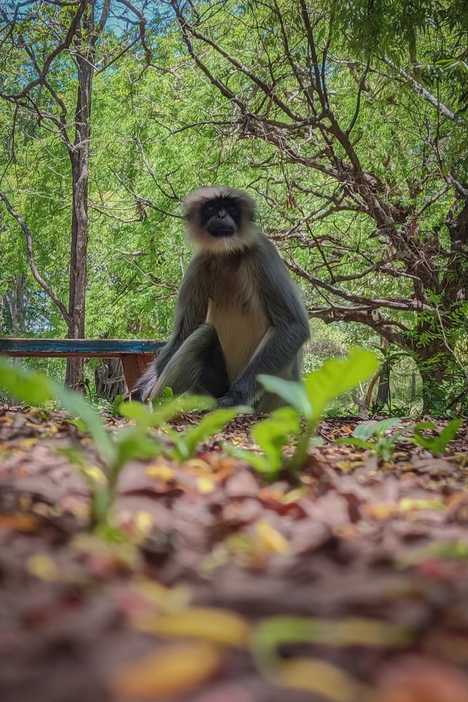 Photograph by Vijayakumar