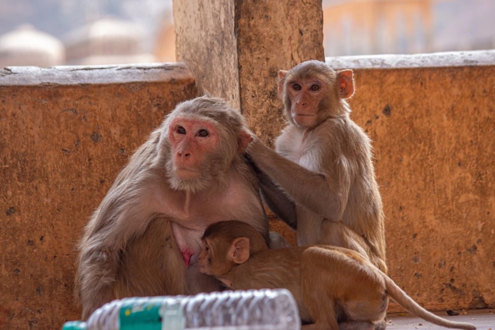 Photograph by Анна Васильева