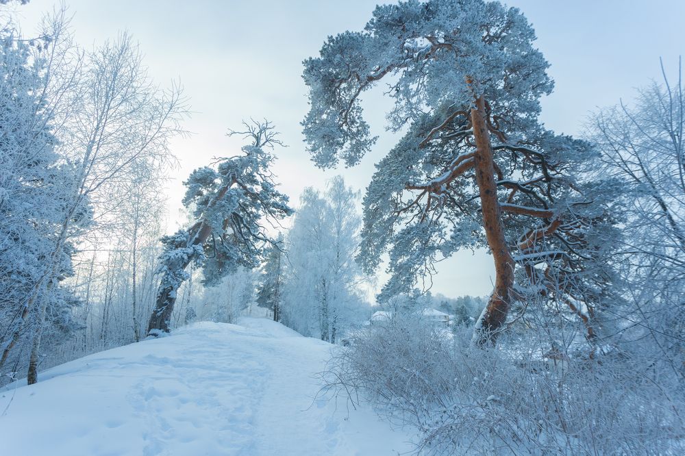 Photograph by Илья Смыков