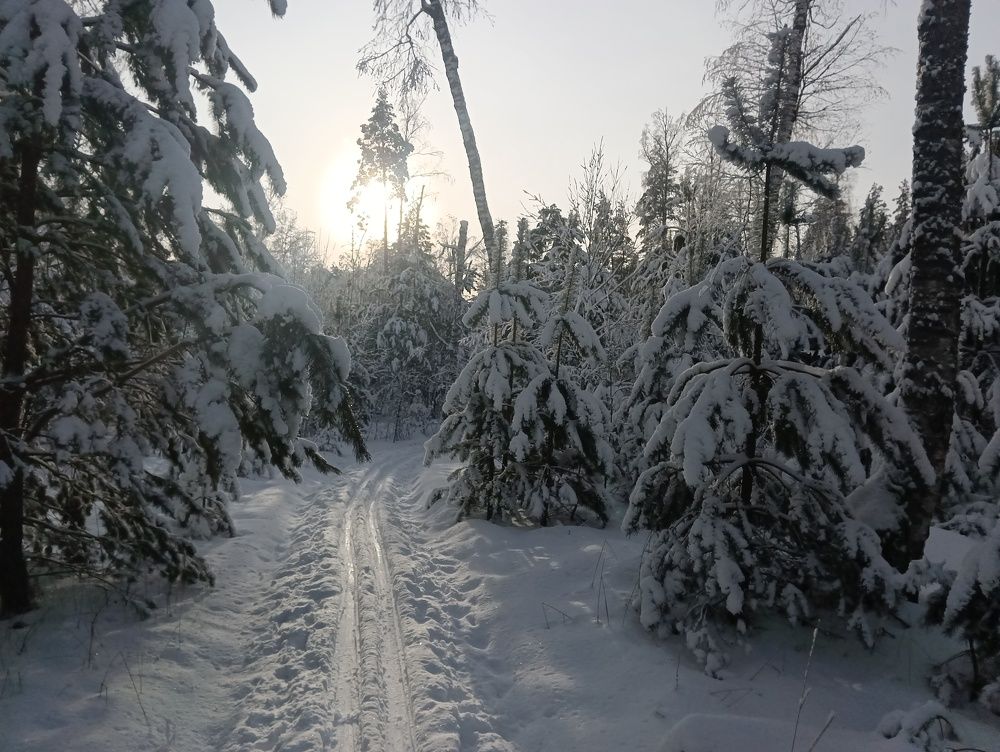 Photograph by Наташа Баукова