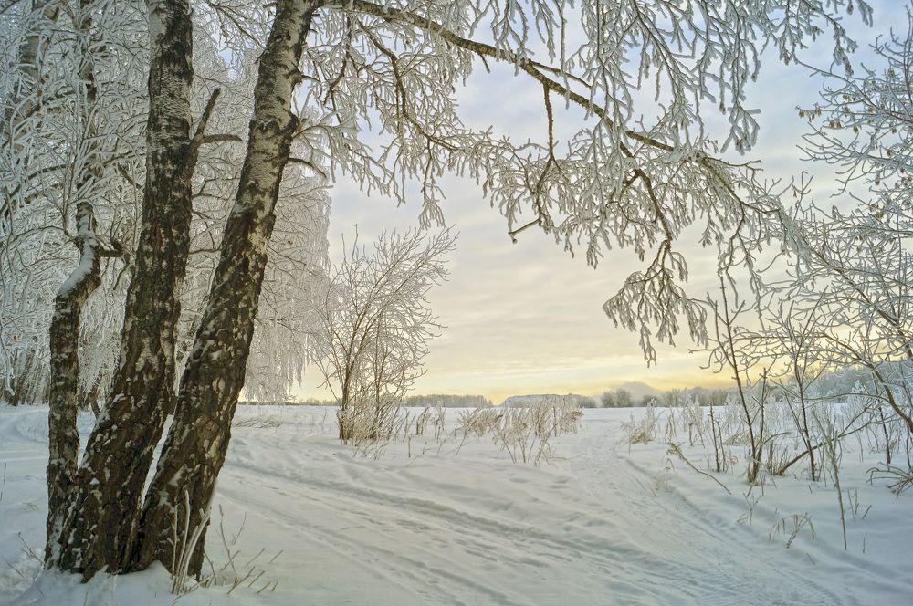 Photograph by Мишустина Татьяна