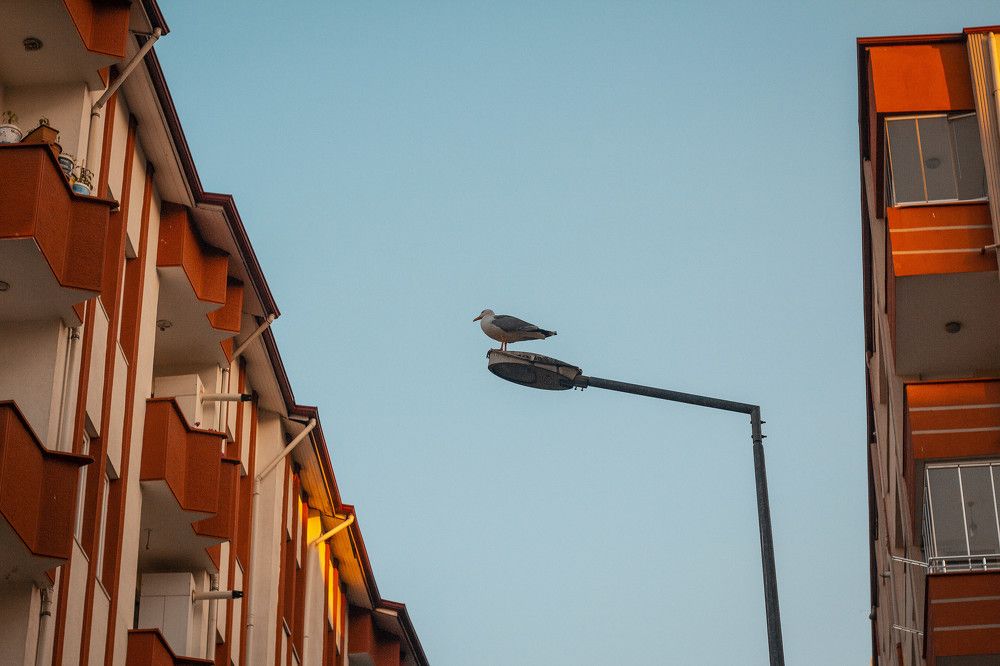 Photograph by Bilal Akbulut