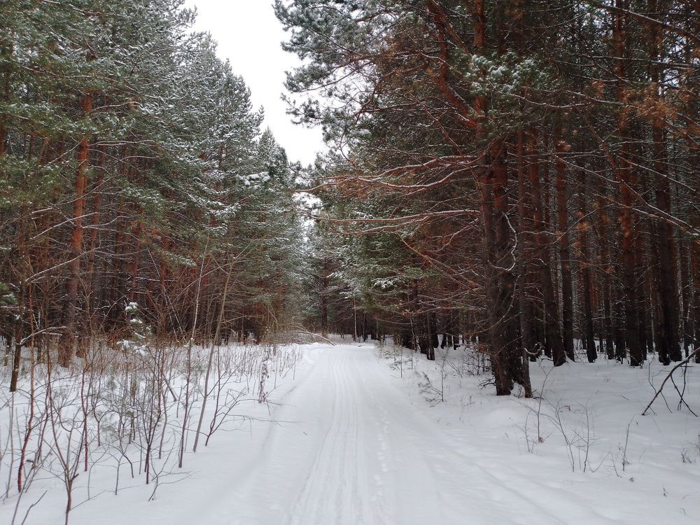 Photo #11705920
