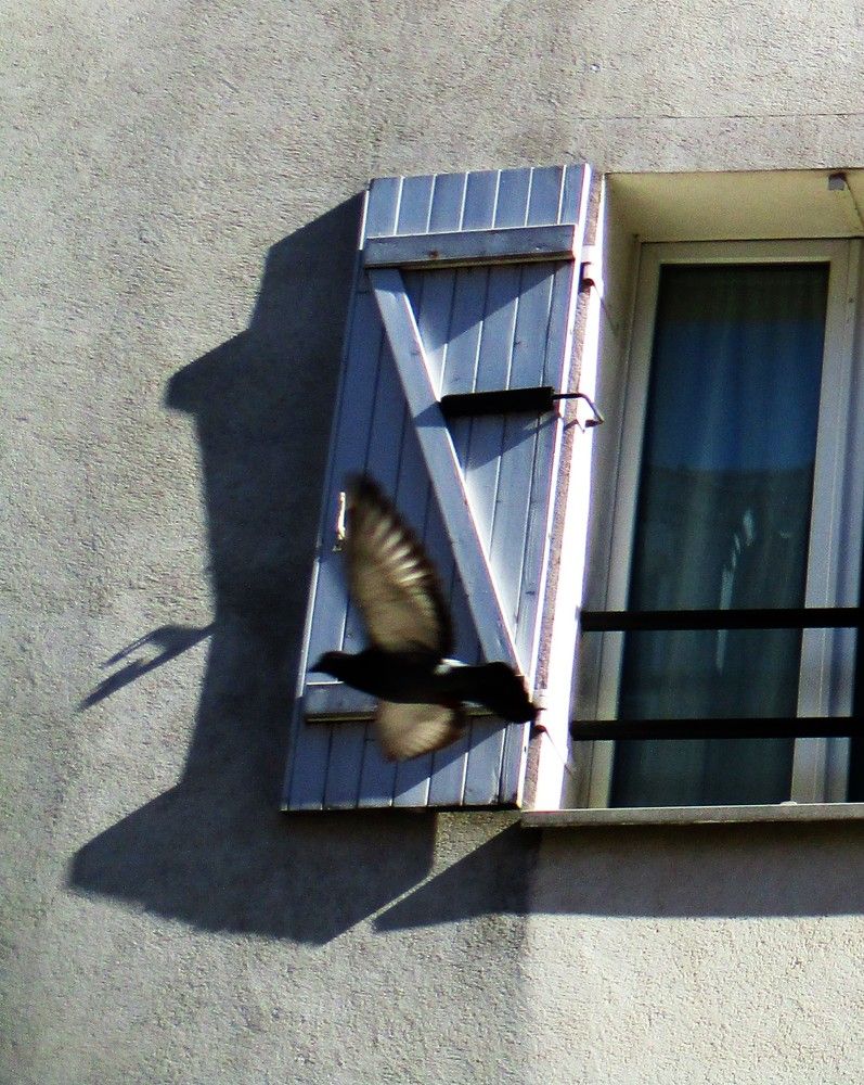 Photograph by Larisa Pirozhnikova