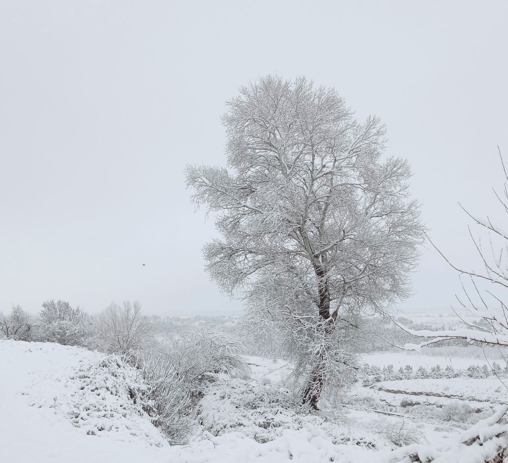 The beauty of winter.Azerbaijan Tovuz Tauz.