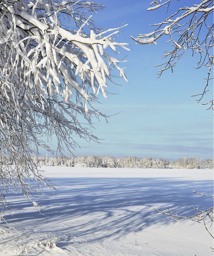 Photograph by Алексей Парамонов