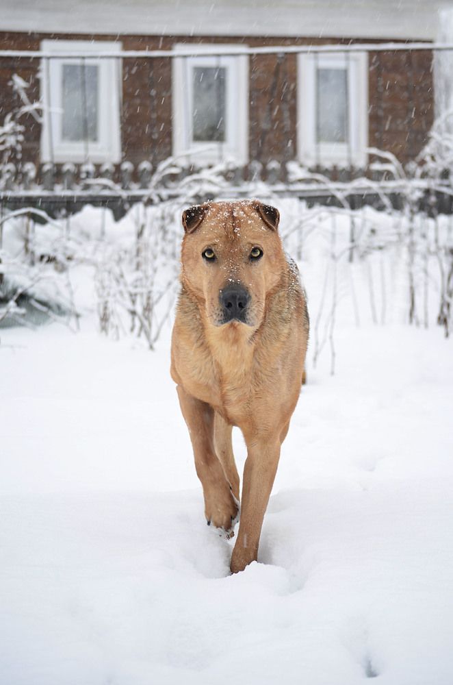 Photograph by Соколова Елена