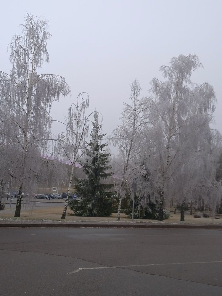 Photograph by Фёдор Викторович