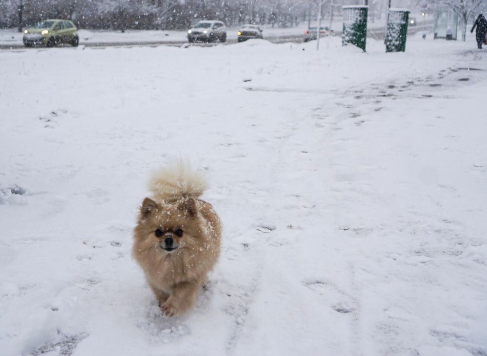 Photograph by Елена Никонова