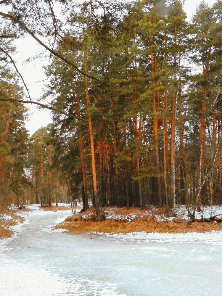 Photograph by Леонид Шнейдерман