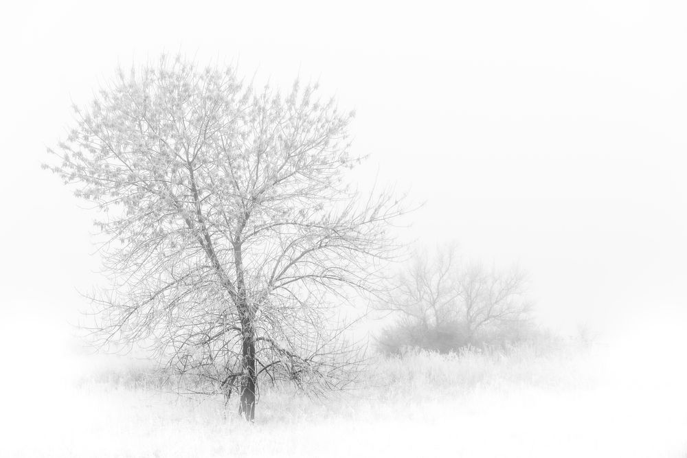 Photograph by Валерий Вторыгин