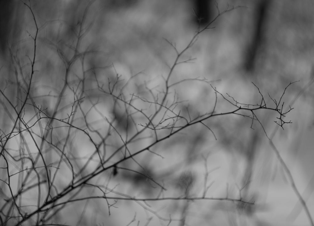 Photograph by Николай Косцов
