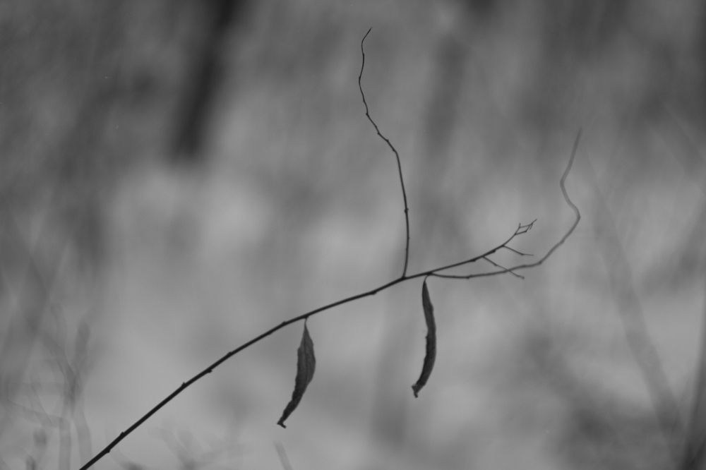 Photograph by Николай Косцов