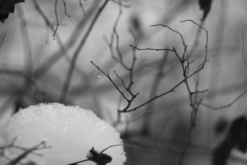 Photograph by Николай Косцов