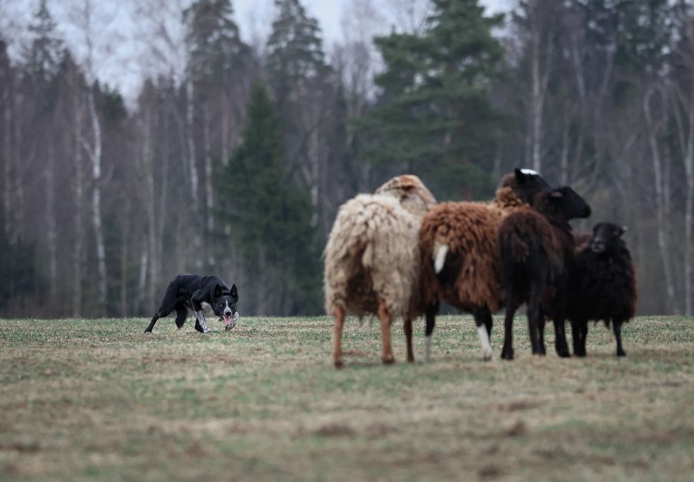 Photograph by Ксения