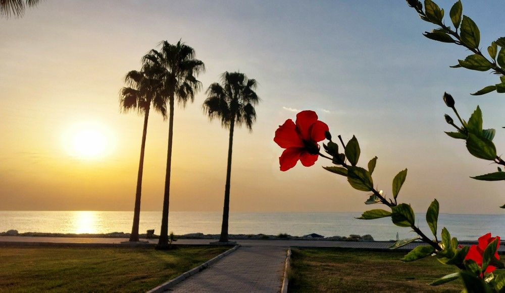 Photograph by Inna
