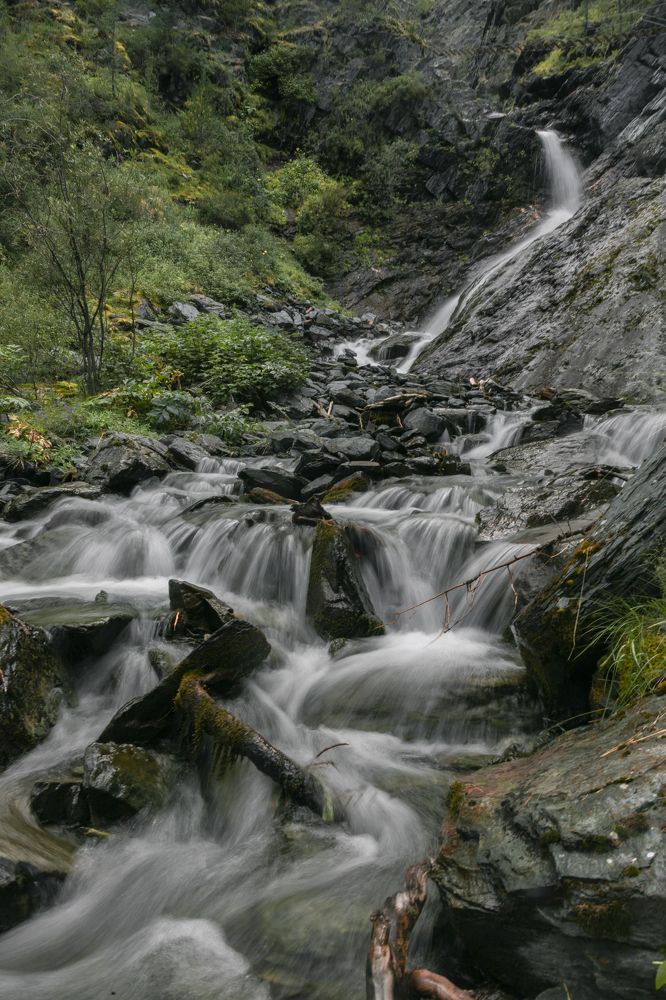 Фотография автора Ксения Зайцева