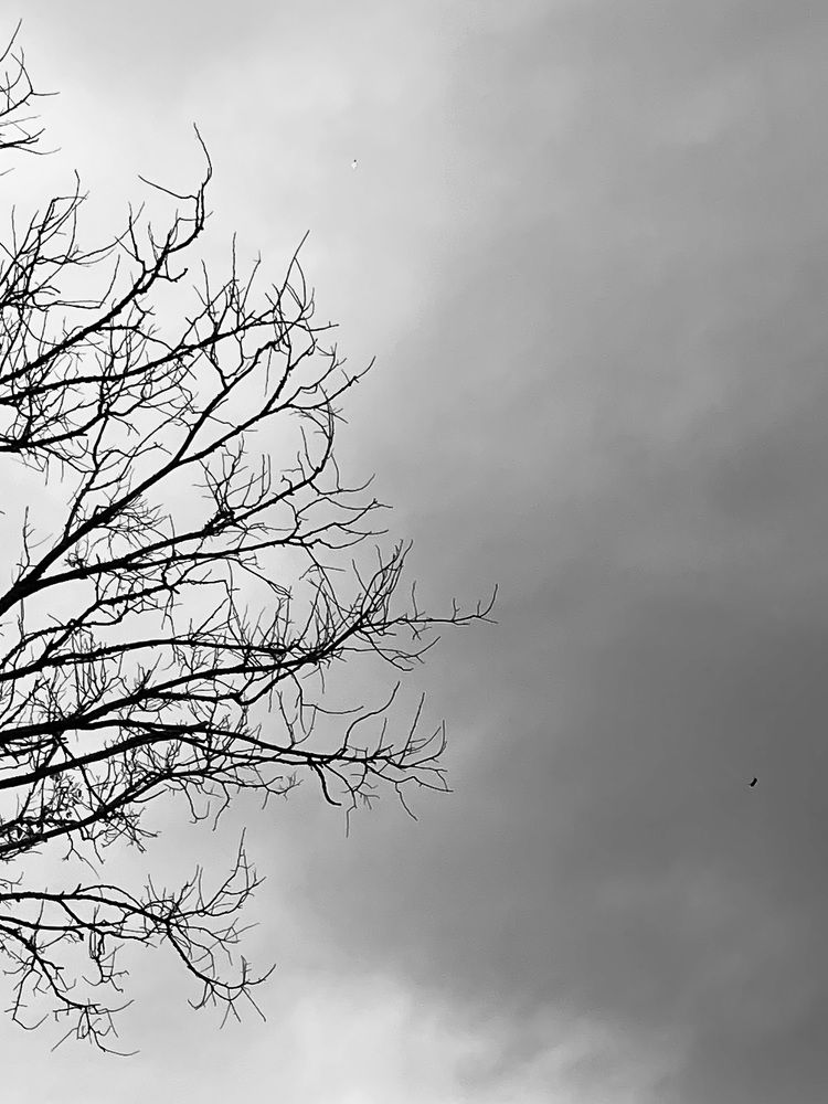 Photograph by Nadya Sterligova