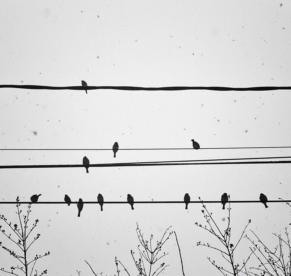 Photograph by Nadya Sterligova