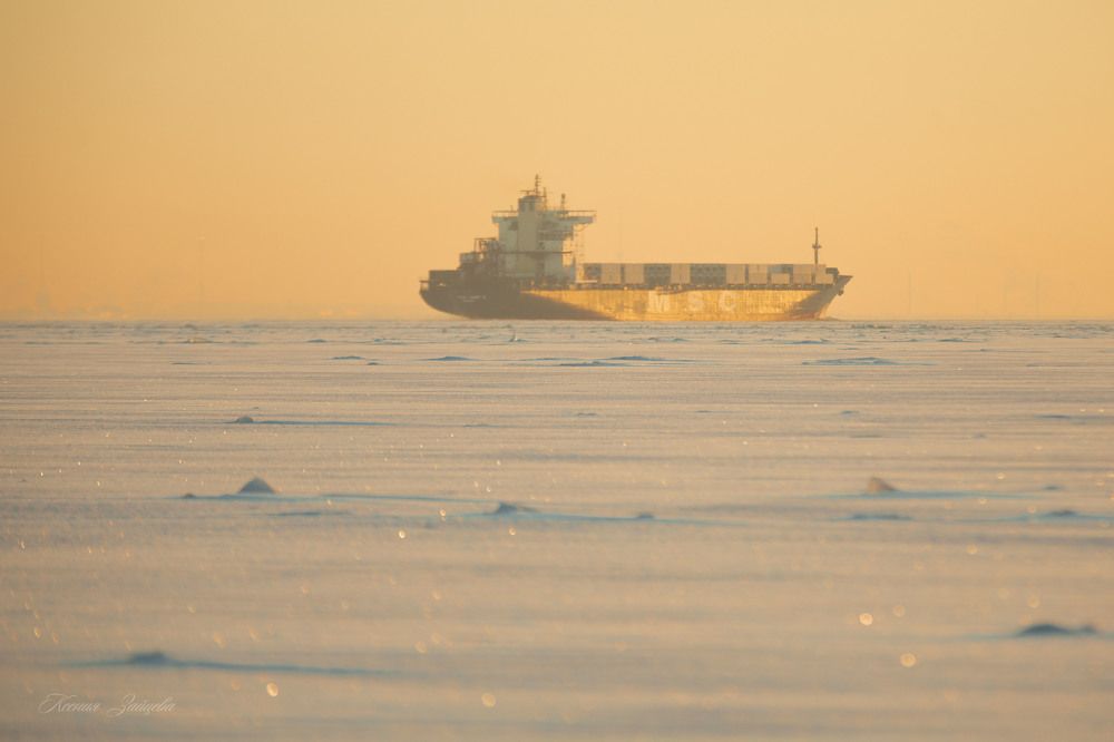 Фотография автора Ксения Зайцева