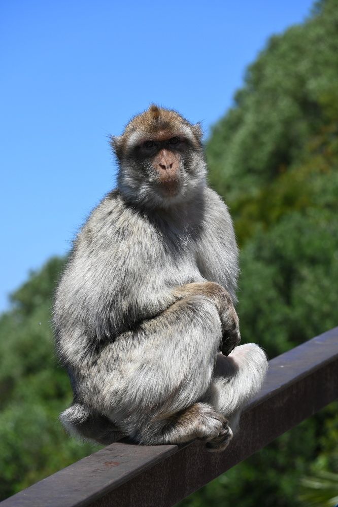 Photograph by Нели Младенова