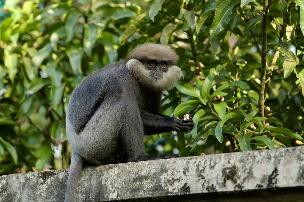 Photograph by Елена Ковалева