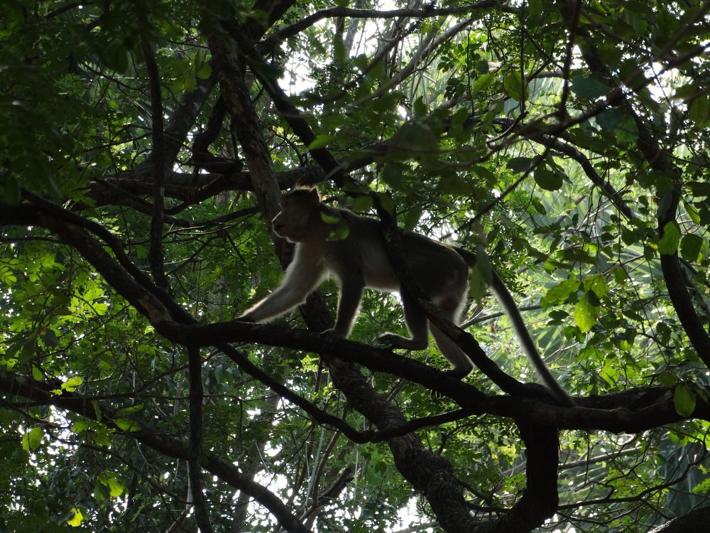 Photograph by Виктор Бута