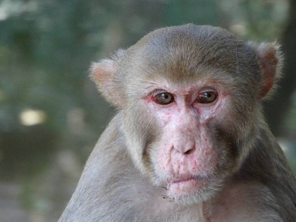 Photograph by Виктор Бута