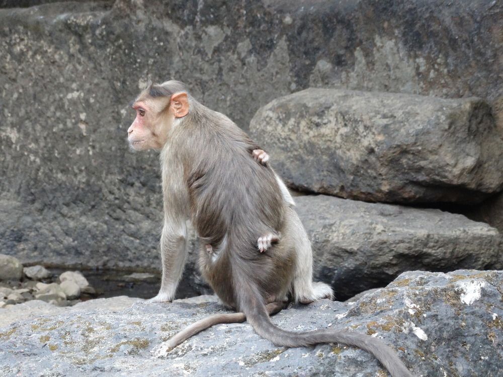 Photograph by Виктор Бута