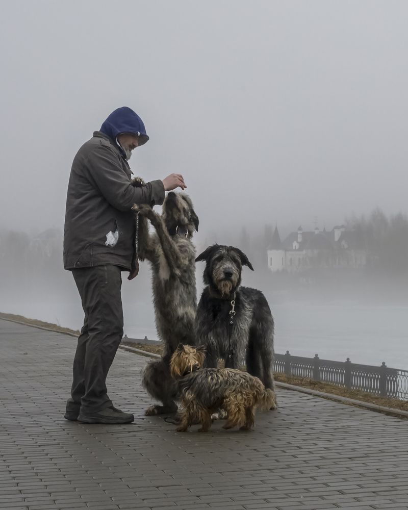 Фотография автора Ольга Лихтарь